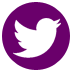 twitter copy