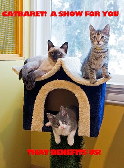 The CATbaret helps these guys find homes!