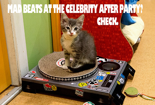 We have this turntable too... and like this one, it is missing its arm