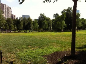 Boston Common (Photo: Sarah Sundin, July 2014)
