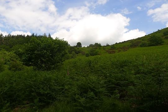 Blue sky above Nattadon Hill