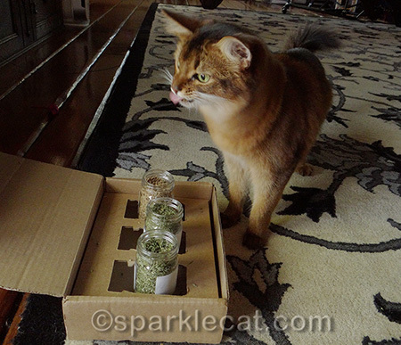 I spent a LOT of time getting nip on my tongue!