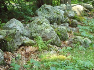 Early 19th C stone wall