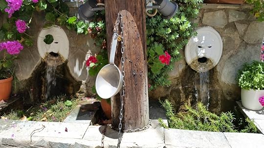 Camera June 2014 328