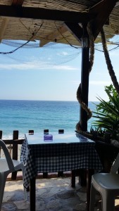 Camera June 2014 238