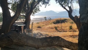 Camera June 2014 420