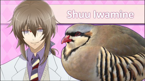 Shuu-Iwamine