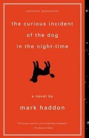 curious-incident-dog-nighttime