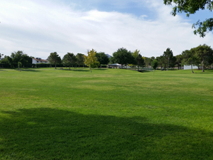Day 1. A Walk in the Park. 100 Days of POGs