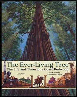 redwood tree booklist