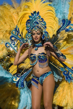 woman dancer carnival rio 12203175_s