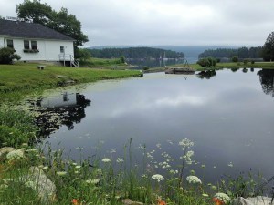 Somesville (2)