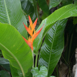 There was a sort of rainforest area that we explored. Super cool.