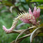 I don't know what this is, but I love it.