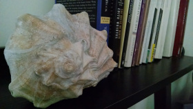 IMG_20150708_091410471