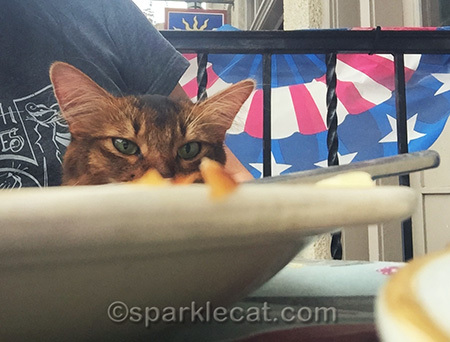 I never get a prime seat at the table like this