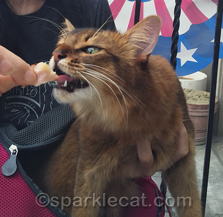 Now THAT was a party in my mouth!