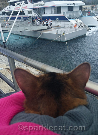 Oh, it's the boat again