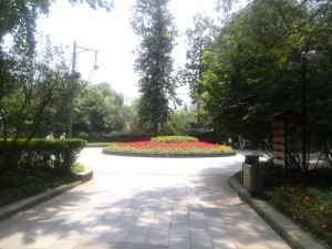 Things to do in Chengdu Peoples Park