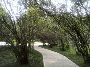Things to do in Chengdu Bai Hua Tan Park