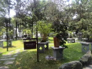 Things to do in Chengdu Bai Hua Tan Park Bonsai garden