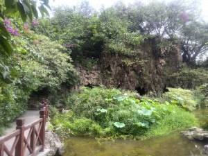 Things to do in Chengdu Bai Hua Tan Park Bonzai garden