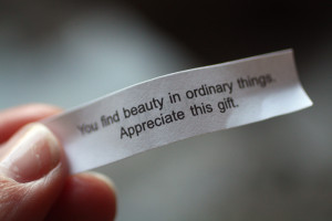 beauty_ordinary_things (2)