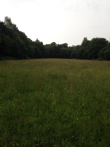 Field upon entering