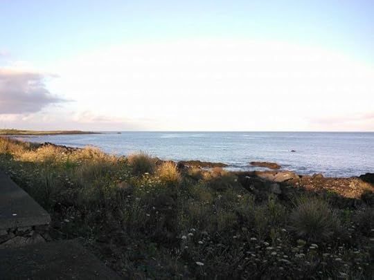 11721792_10206898563519972_1090609980_n