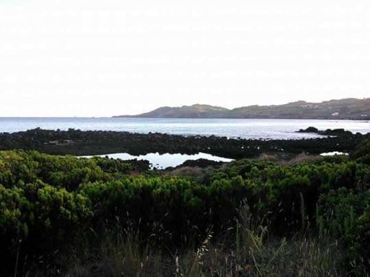 11756520_10206898558359843_1201818850_n