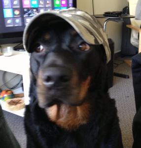 942034_10151943560937222_1832831954_n