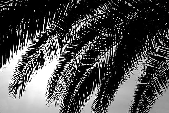 Palmtree