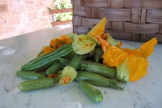 Zucchini, Elizabeth MInchilli