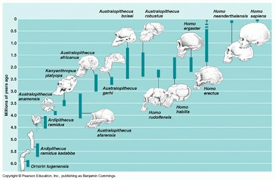 Homo sapiens