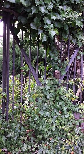 SYjomyTMC9DZWw3XCQm8JCWmxcbW4maq7WG_w7RIV2I