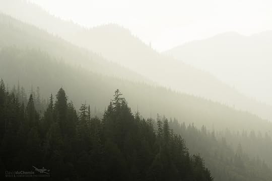 20150615-duChemin-Khutzeymateen-835
