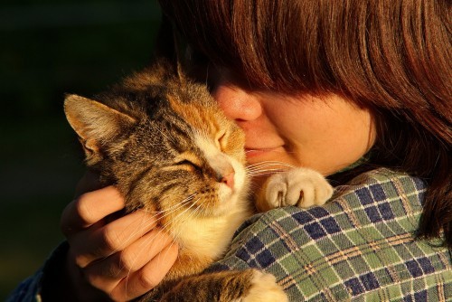 cat-person