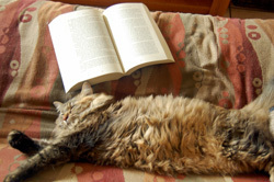 Kel Relaxes with a Good Book
