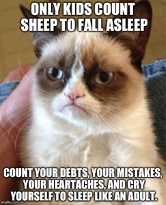 A - Humor - Nasty Cat Debts