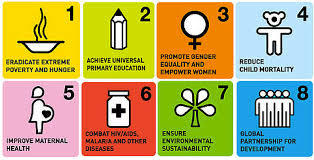 MDGs