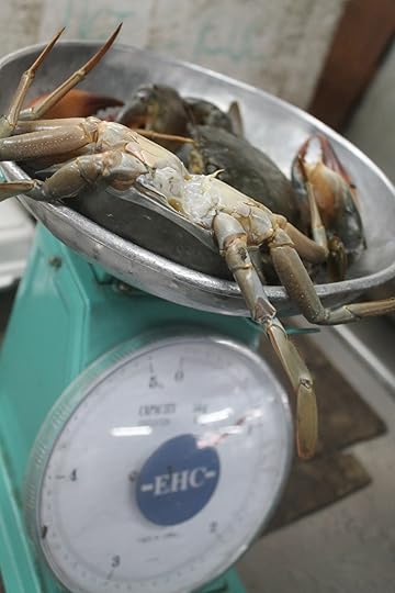  photo IMG_4868_zps3ieyvwps.jpg