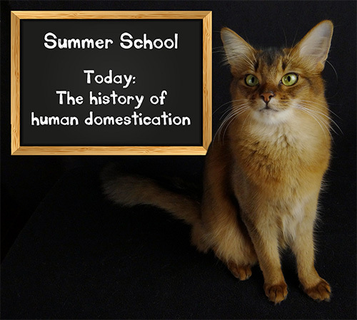 It's not a lesson without a chalkboard!