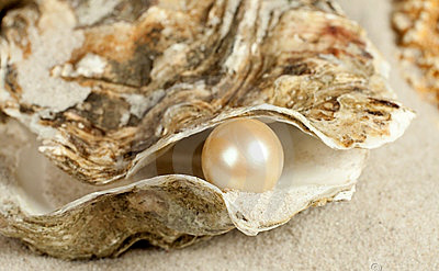 pearl-oyster-14277592