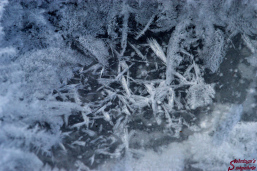 Photo courtesy of Sebring's Snapshots.