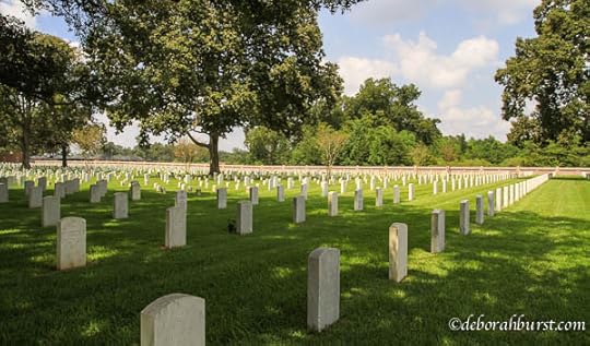 PH cem wide hdstone oak trees wm