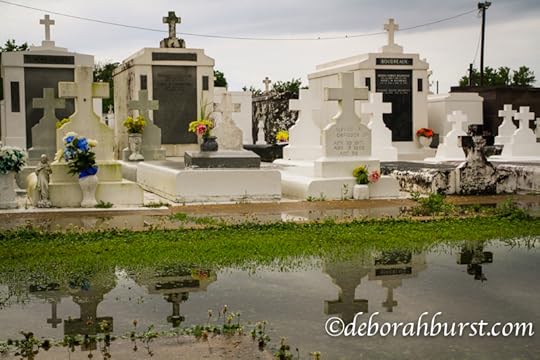 Raceland Holy Rosary cemetery puddle refelction wm