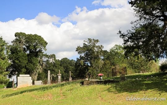 Old Jackson Cemetery wm-4