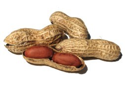 Photo by Sanja Gjenero