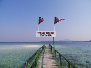 Di ujung jembatan ini ada sandbar sih