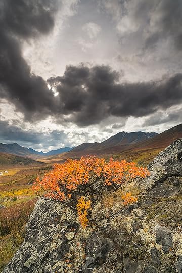 Tombstone Territorial Park, Yukon Territory, Canada.